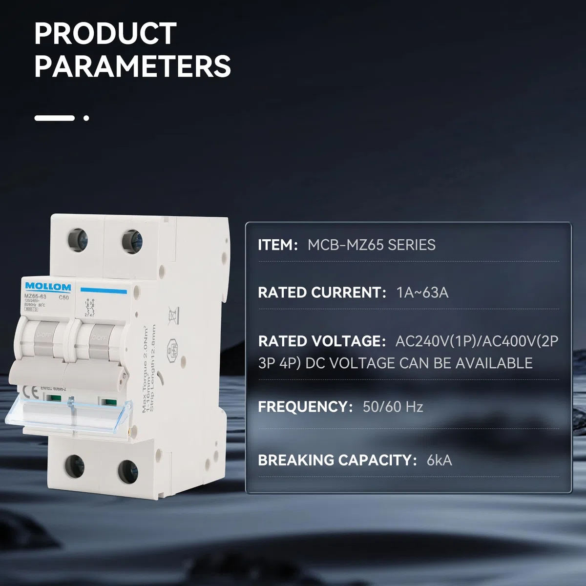 MOLLOM AC 2P Interruttore automatico miniaturo,110V-240V 25A,nterruttore termomagnetico MCB personalizzato con visualizzazione della scena,capacità di interruzione 6KA per sistema AC solare