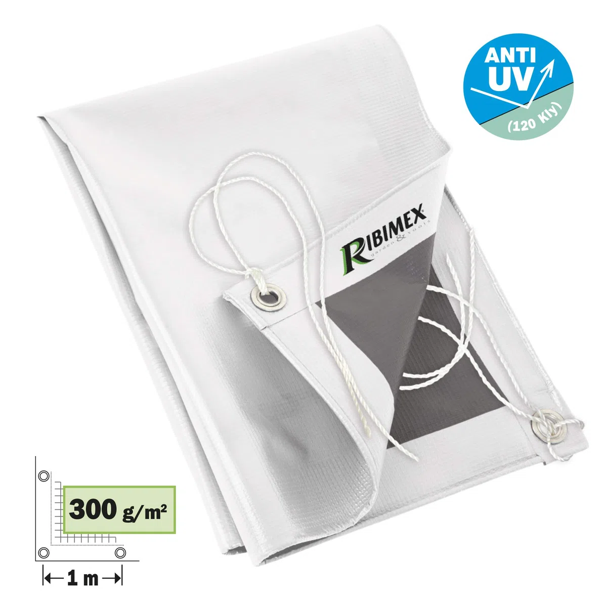 Ribimex Telone Impermeabile in PVC 300 g/m², 2x3 m, Resistente agli Agenti Atmosferici, Occhielli in Alluminio Diametro 23 mm e Cordone, Ideale per Protezione Esterna di Lunga Durata - PRB30002X03
