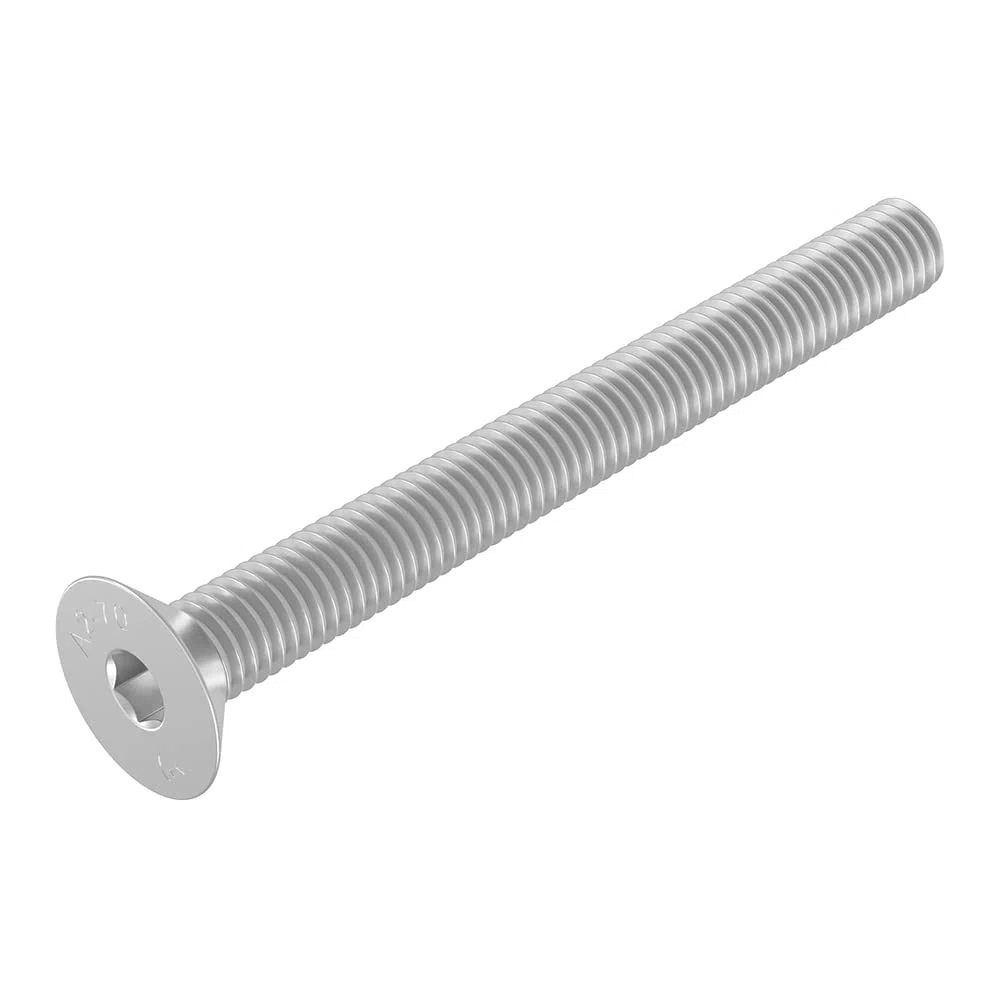 Vite a testa svasata SECCHARO M10 x 100 mm, acciaio inox V2A VA A2, DIN 7991 / ISO 10642, esagono incassato, 20 pezzi