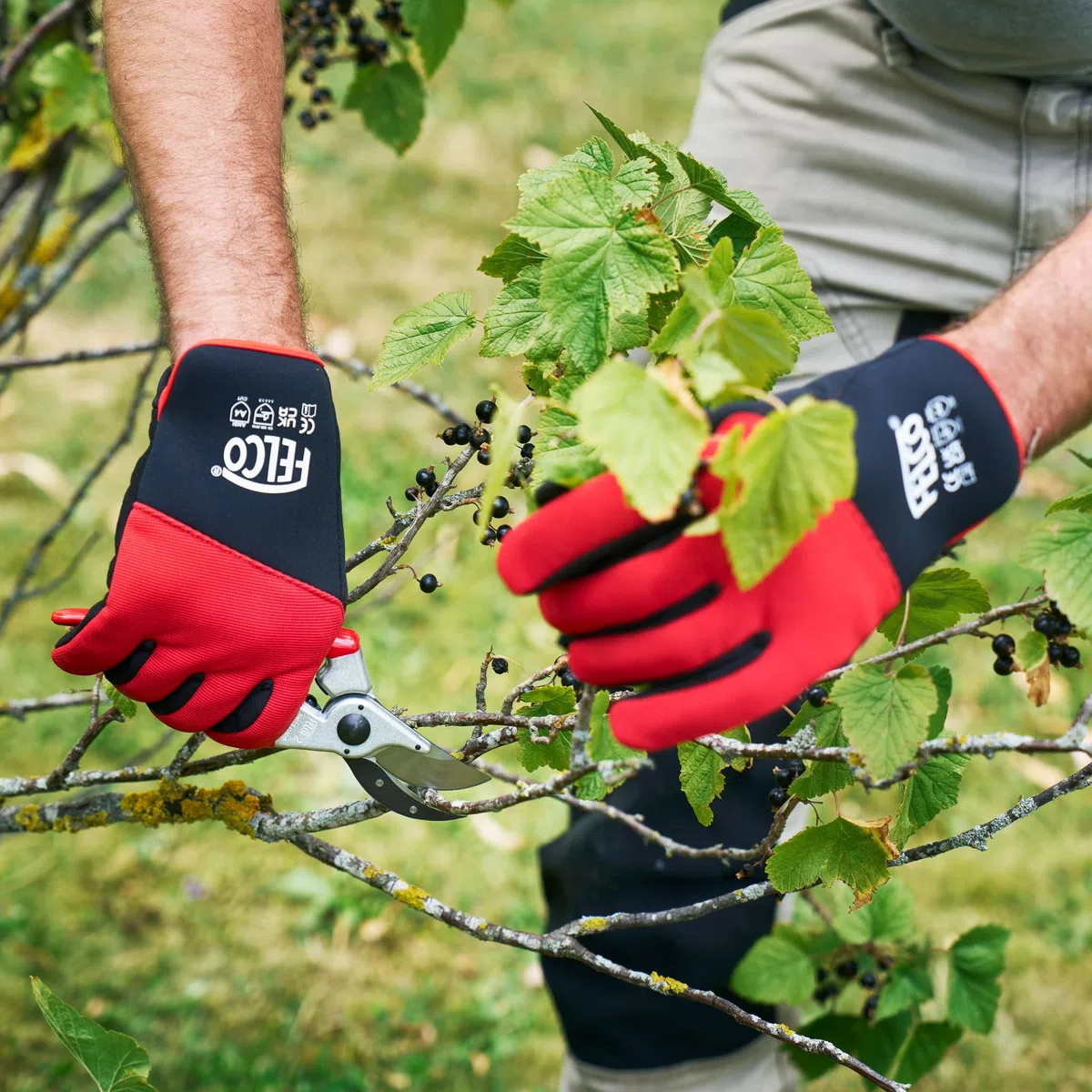 FELCO Guanti resistenti al taglio, modello 704, grandi, in pelle sintetica, foderati in rete, resistenti al taglio, previene il rischio di tagli, giardinaggio, potatura, orticoltura, florivistica