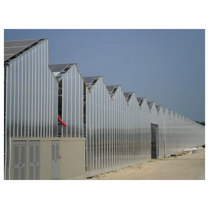 Lastra Policarbonato Alveolare 10 mm Trasparente 100 x 98 mm