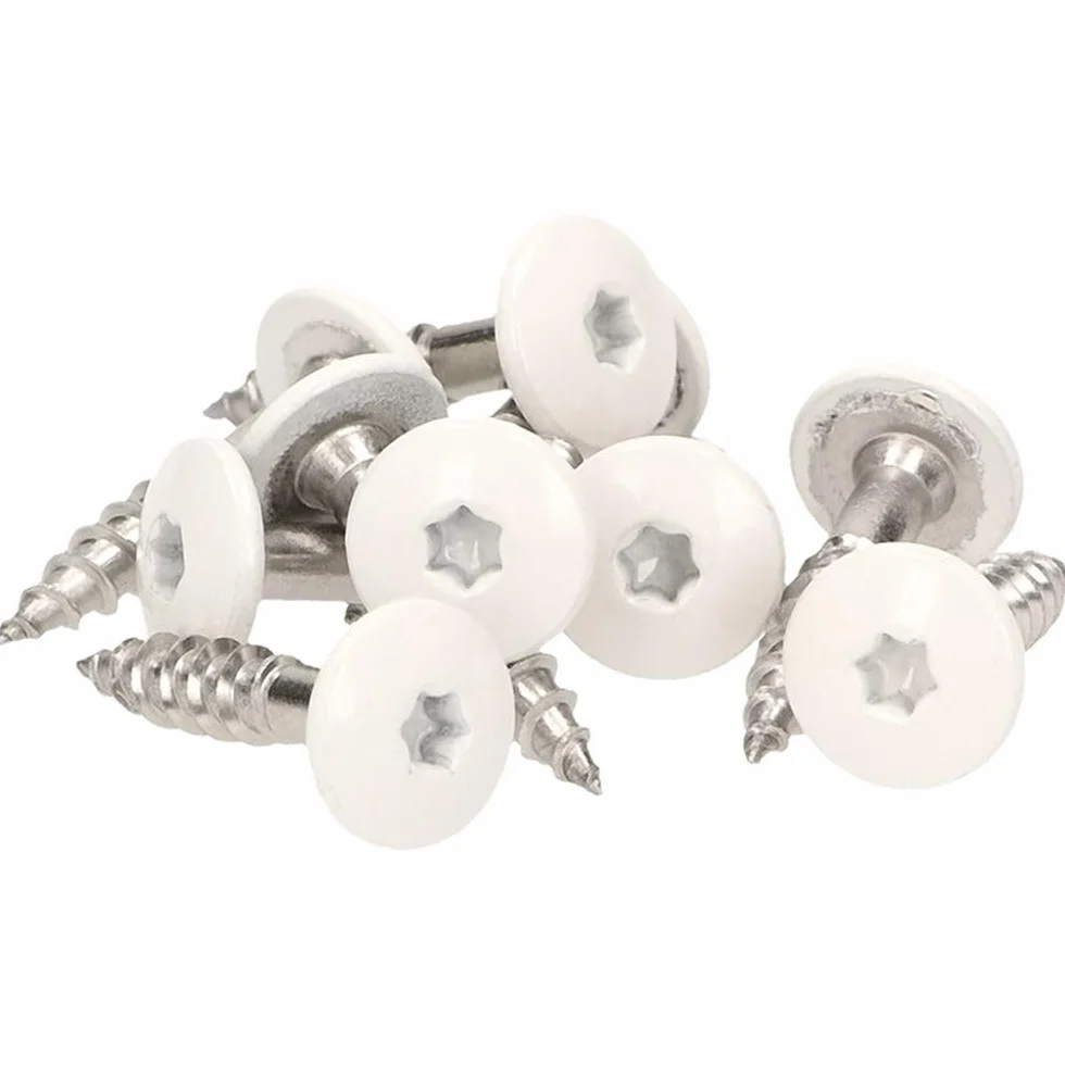Viti per facciate in acciaio inox V2A/V4a, Bianco