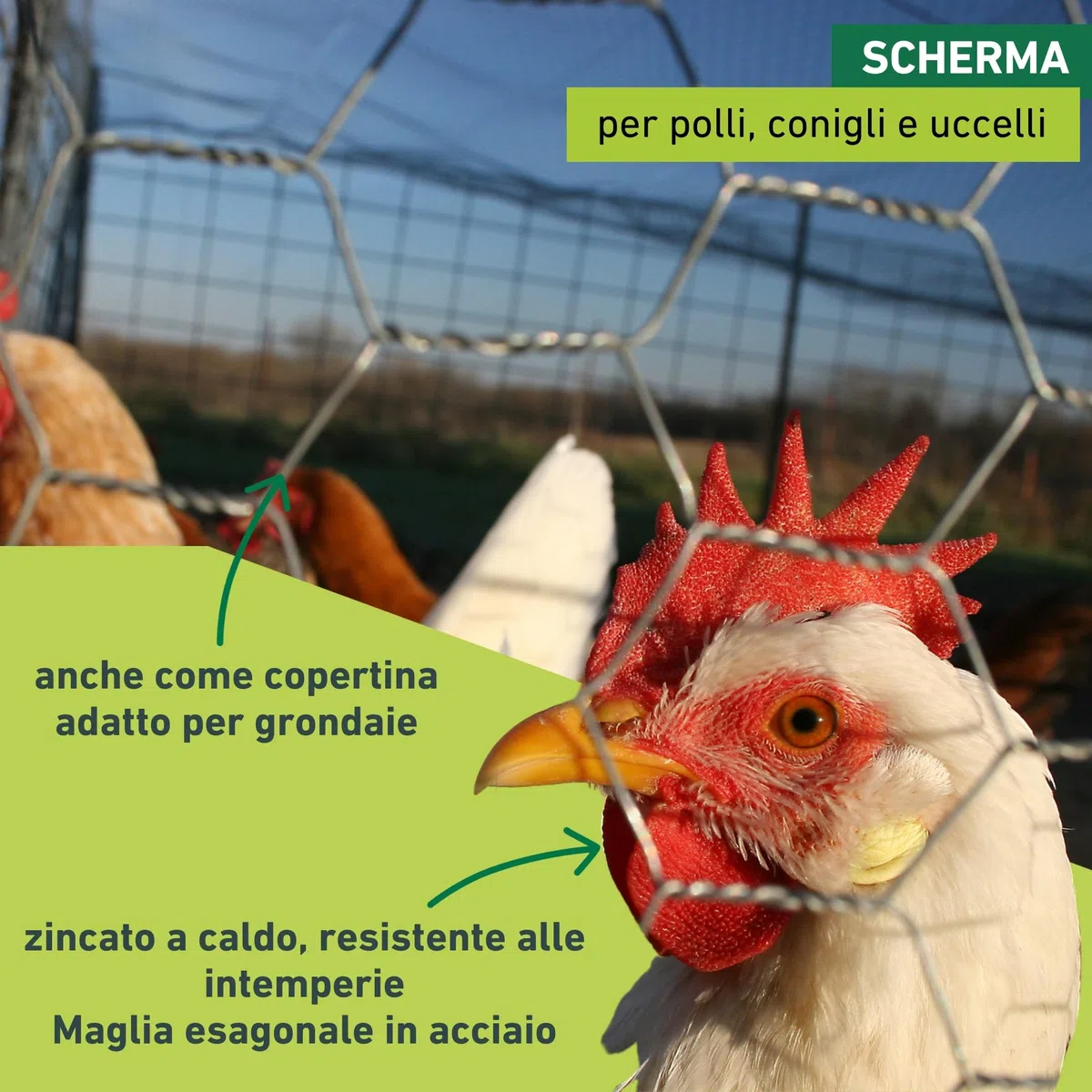 Windhager Recinzione Metallica zincata per Piccoli Animali, per lepri e polli, Copertura per grondaia, Larghezza Maglie 25 mm, 10 x 0,5 m x 0,7 mm