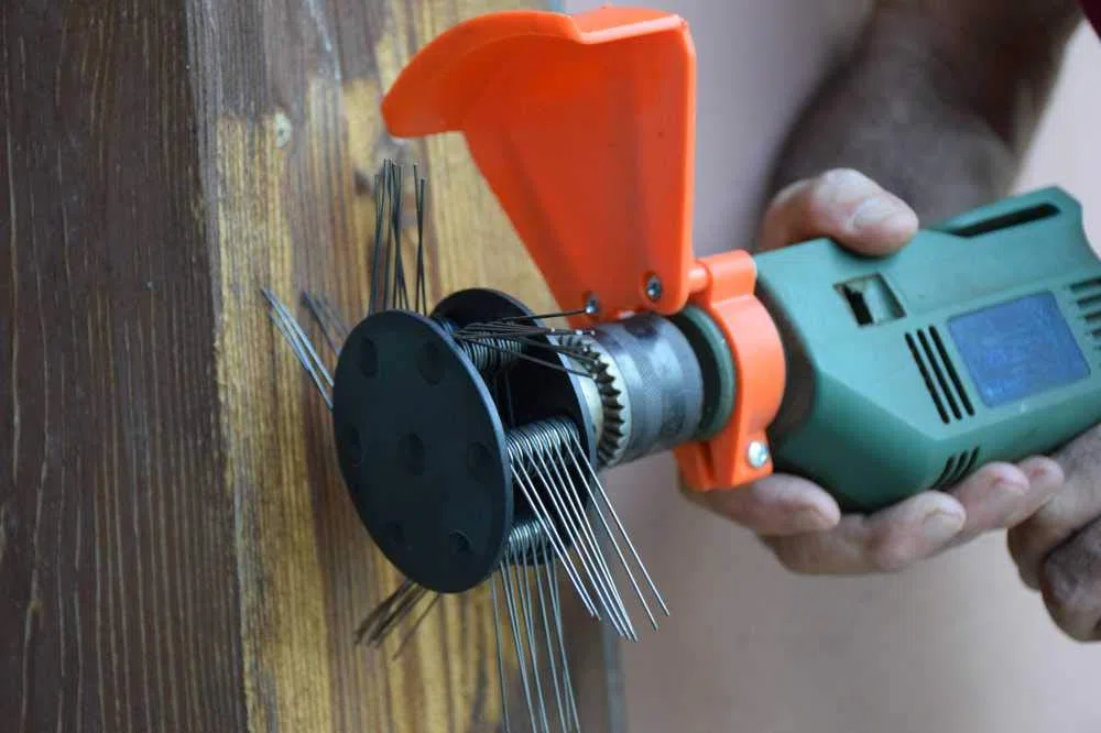Sverniciatore professionale ORIGINALE BAZARGIUSTO a molle per ferro legno e muro