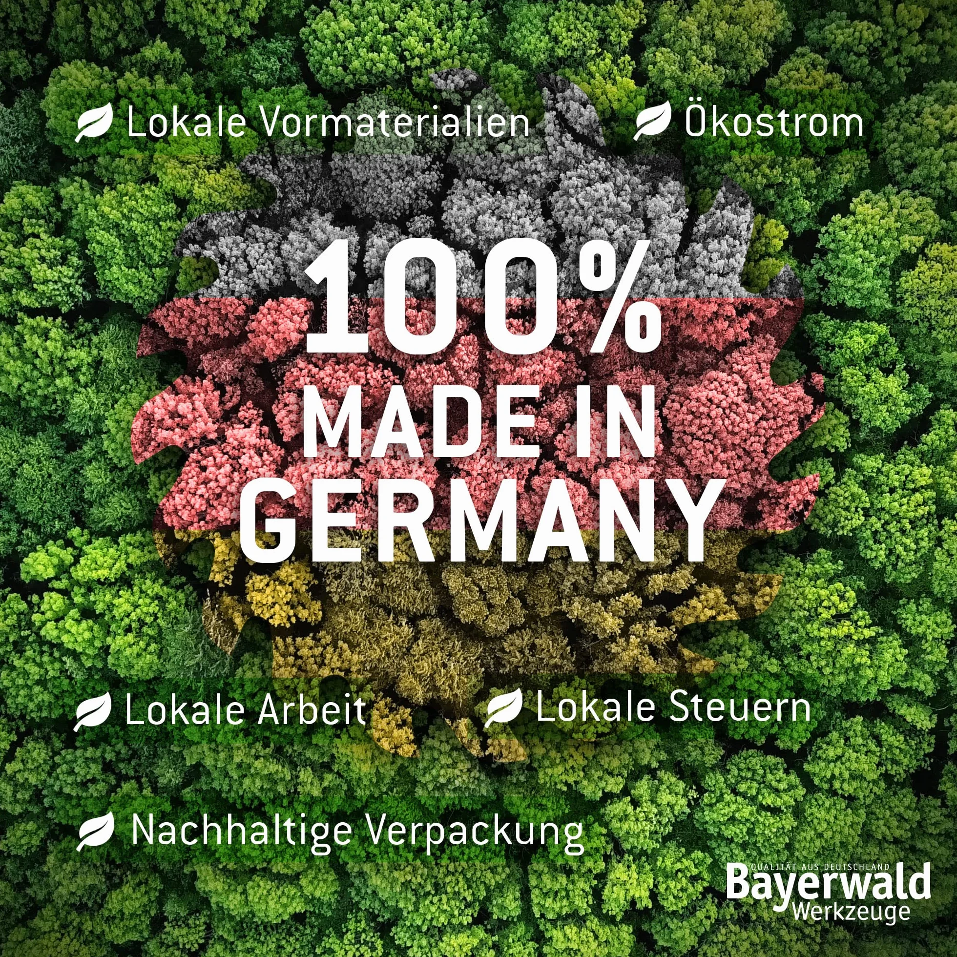 Bayerwald - Lama per sega circolare CV, Ø 300 mm x 1,6 mm x 30 mm, a dente di lupo (80 denti), per tagli semplici e più fini su legna da ardere e materiali lignei, taglio longitudinale e trasversale
