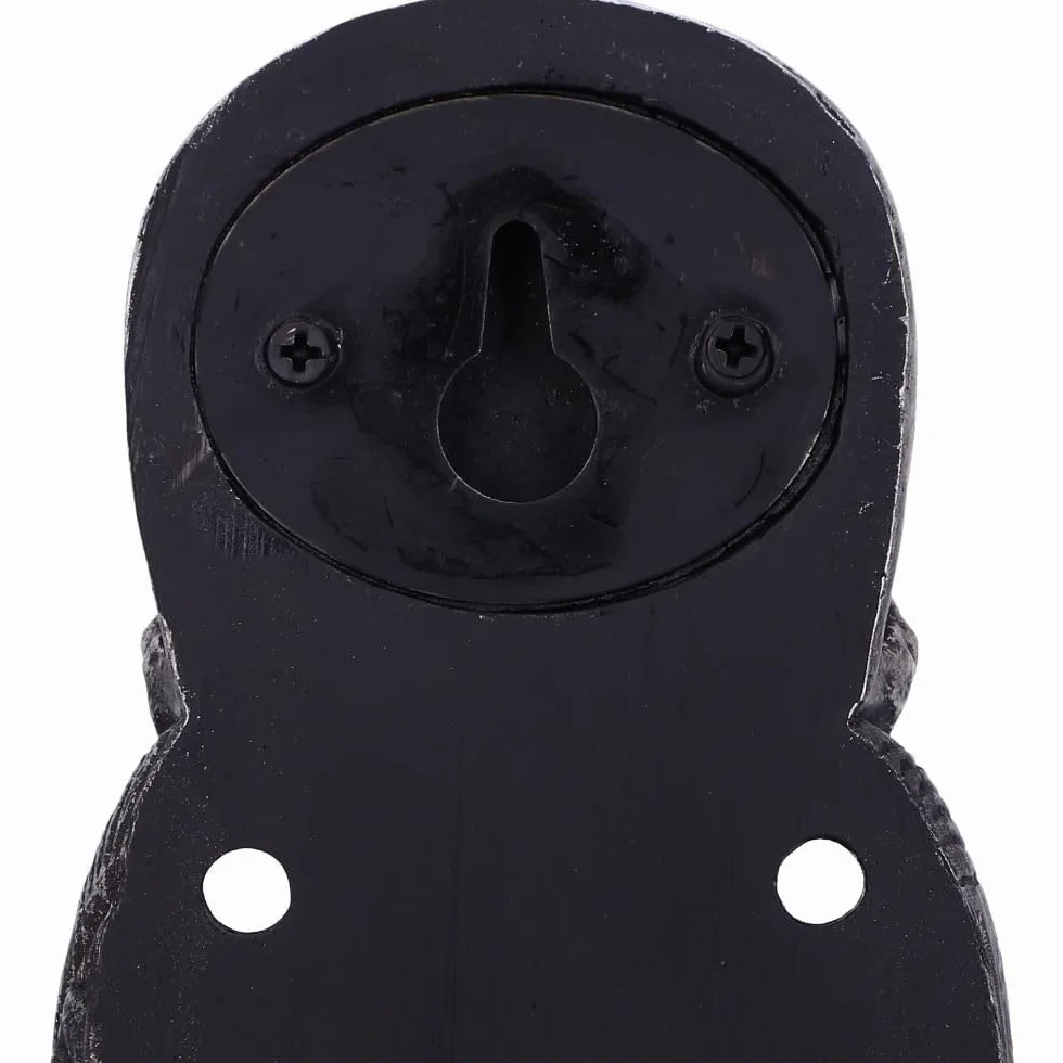 Nemesis Now Licenza Ufficiale Harry Potter The Dark Mark Door Knocker 23 cm, Argento, 23cm