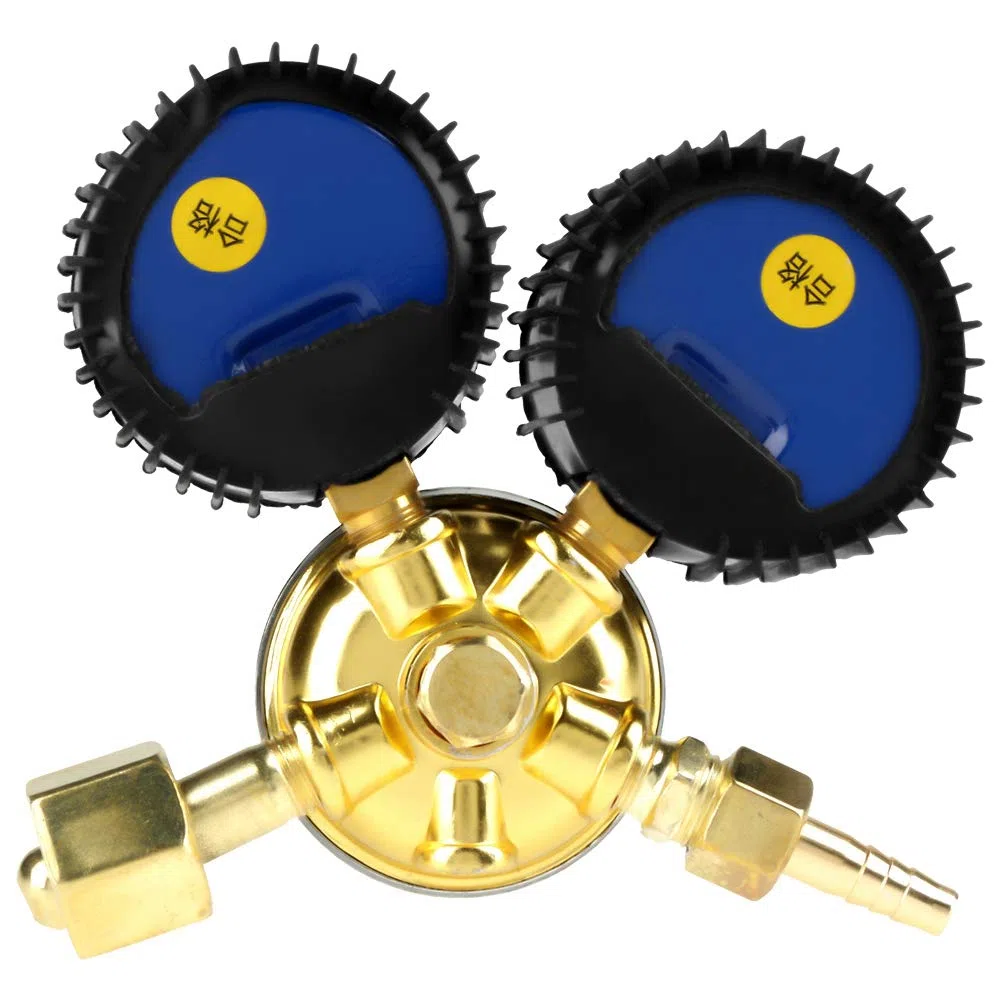 DEWIN Regolatore per Bombole di Gas, Regolatore per Bombole di Gas CO2 Riduttore di Pressione per Saldatura ad Anidride Carbonica G5/8