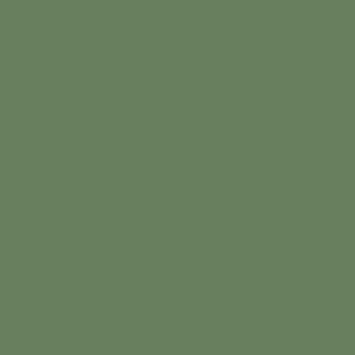 MAXMEYER Guaina Antialga Plus, Impermeabilizzante Liquido Fibrorinforzato per Esterni,Verde, 4 L