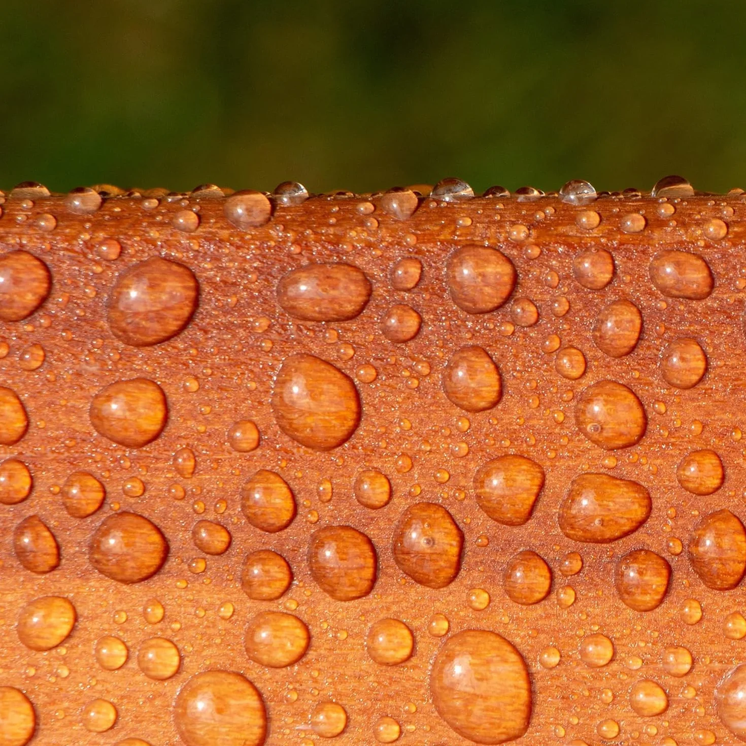 Roxil Impregnante legno idrorepellente (1 litro) -10 anni sigillante per legno, trattamento trasparente impermeabilizzante e conservante per legno esterno
