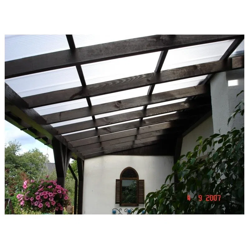 Lastra Policarbonato Alveolare 10 mm Trasparente 100 x 98 mm