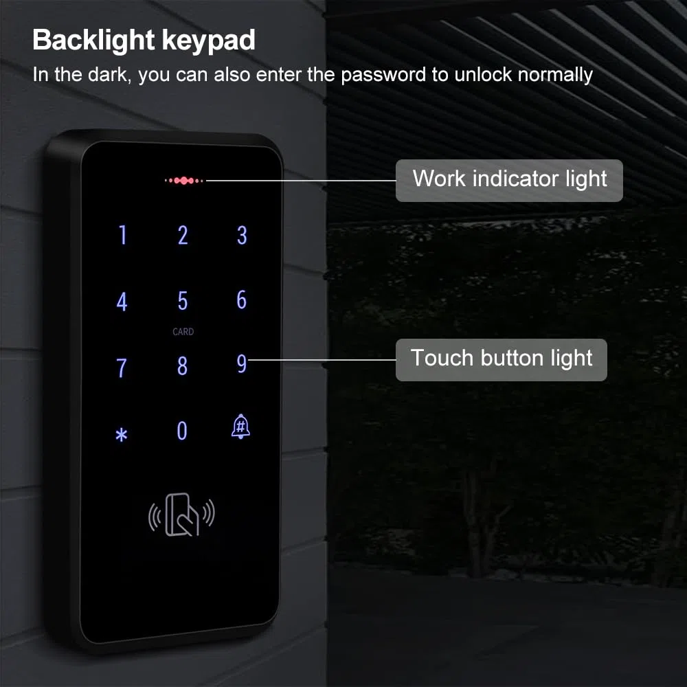 S20 Controller di Accesso Sistema di Controllo Accessi, Tastiera Retroilluminata RFID Apertura Porta Password IP68 Impermeabile Lettore di Schede 125 kHz con 10 Portachiavi EM4100