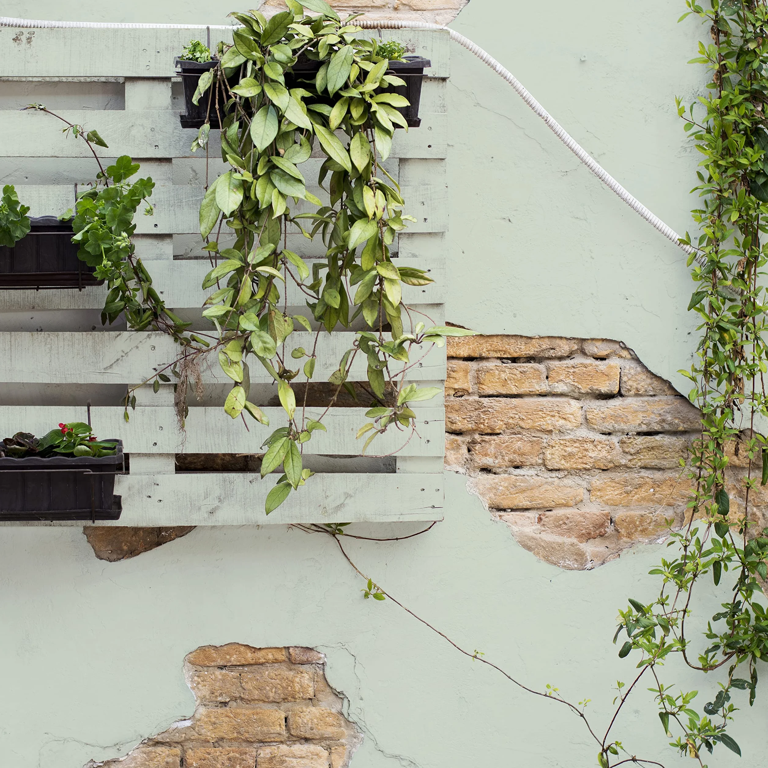 CHALK PAINT DA ESTERNO biancoGarden Verde Salvia - Ricolora giardino e balcone SENZA CARTEGGIARE e SENZA FINITURA (1 Litro)