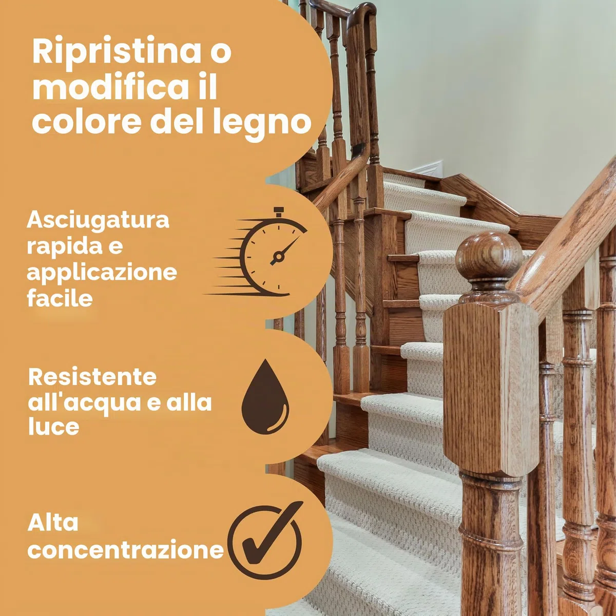 Kit Tester Mordente per Legno 5 ml in 12 Colori Furniture Clinic – A Base d’Acqua, Asciugatura Rapida, Atossico, Sicuro – per Interni ed Esterni, Mobili, Armadi, Pavimentazioni