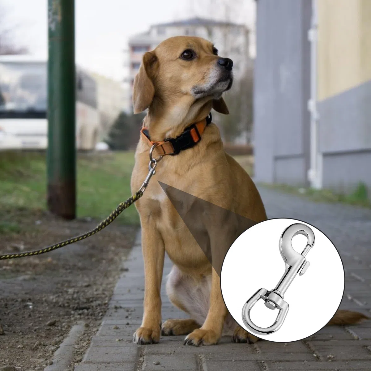 2 pz Ganci Portachiavi,Moschettoni in Acciaio Inox,Utilizzati per Alpinismo,Guinzagli e Chiavi per Cani