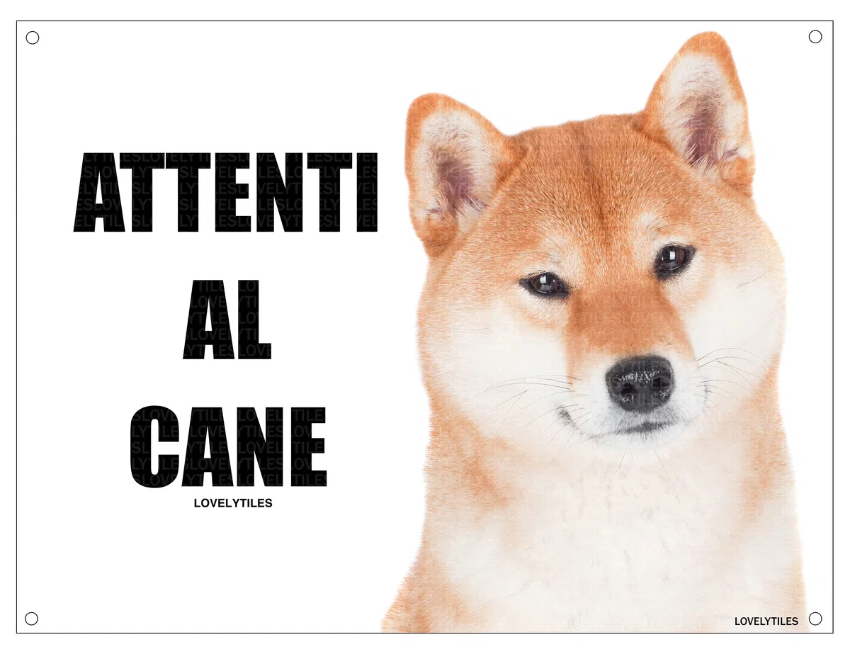 Shiba Inu ATTENTI al Cane Targa Cartello Metallo (15X20)