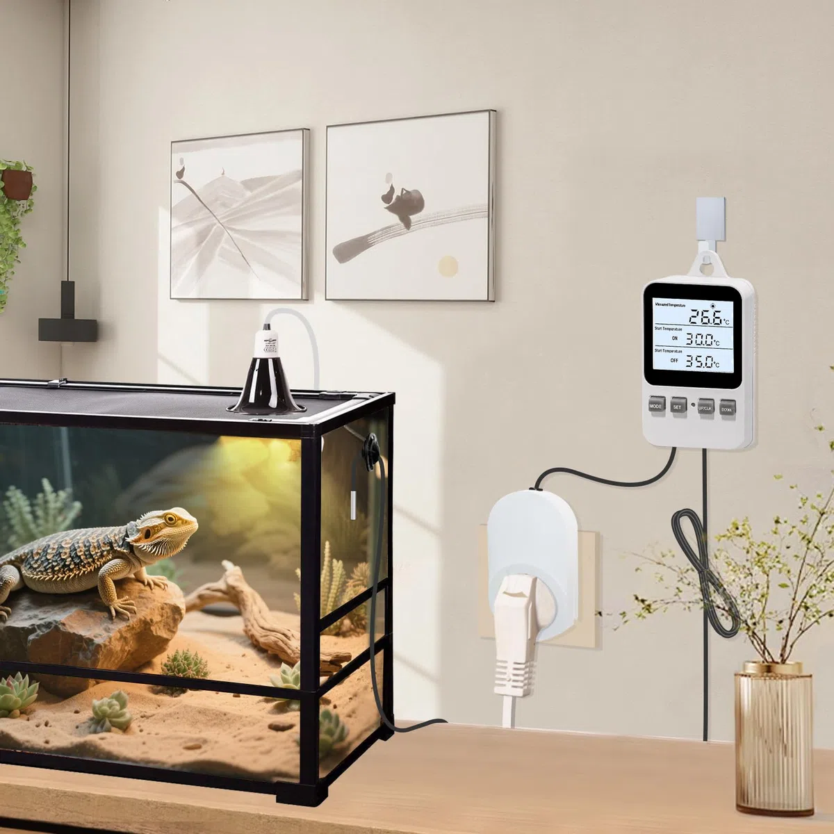 Presa di uscita del termostato digitale a spina, regolatore di temperatura di riscaldamento e raffreddamento, interruttore del riscaldatore e del raffreddatore, per terrario di incubazione
