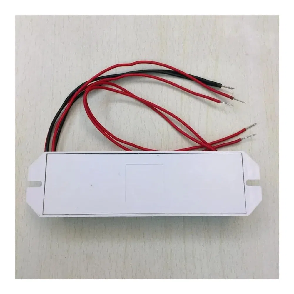 Alimentatore for Lampada UV da 55 W Alimentatori elettronici AC220V Lampade Fluorescenti Raddrizzatore di Luce Ultravioletta