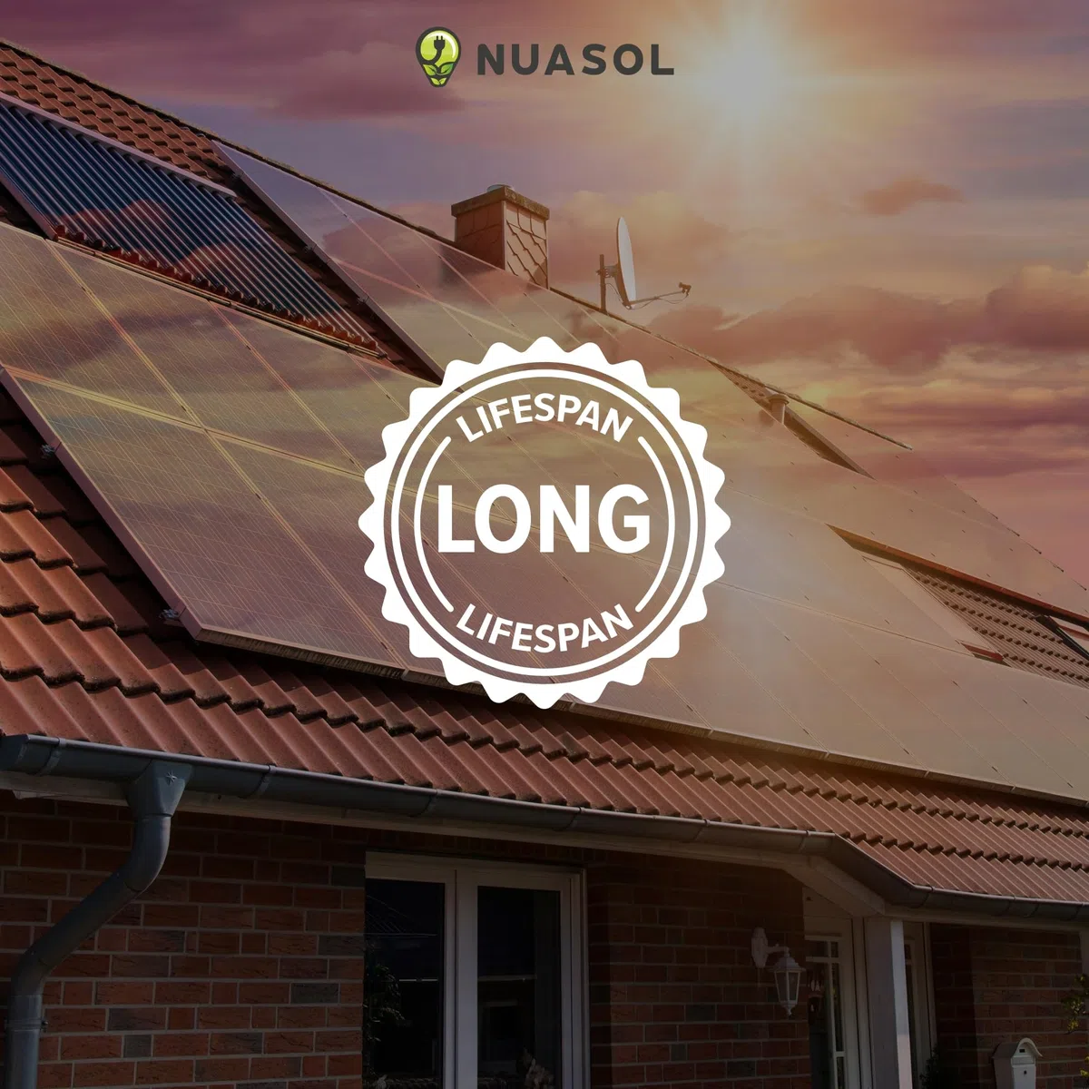 Vite prigioniera fotovoltaica in acciaio inox con piastra adattatore e guarnizione EPDM M10 x 250 mm | pannello solare impianto solare, fissaggio viti prigioniere | confezione da 10