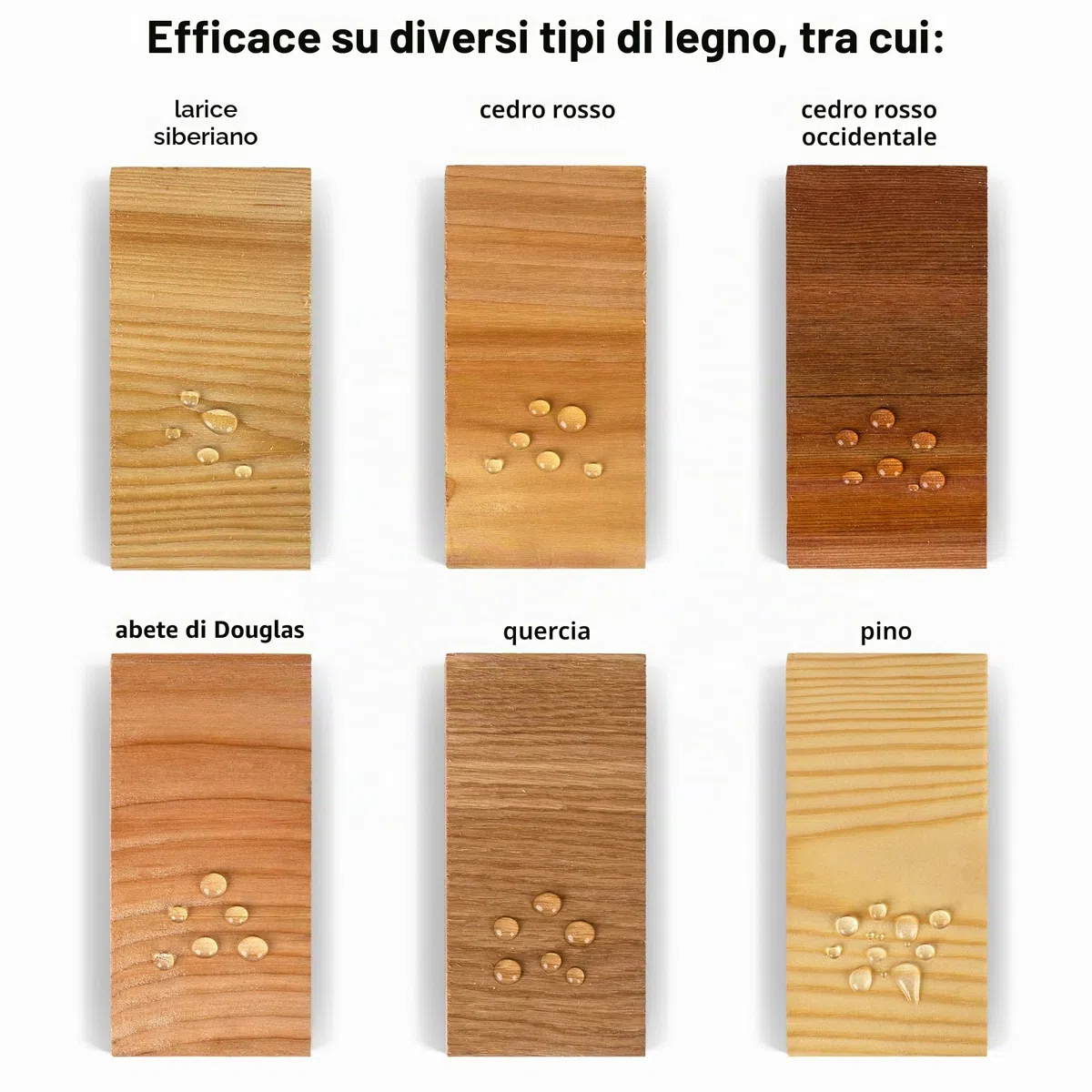 Roxil Impregnante legno idrorepellente (1 litro) -10 anni sigillante per legno, trattamento trasparente impermeabilizzante e conservante per legno esterno