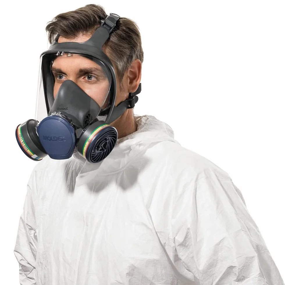 BeeSwift M9400 Moldex Abek1 7000/9000 Pr (confezione da 2)