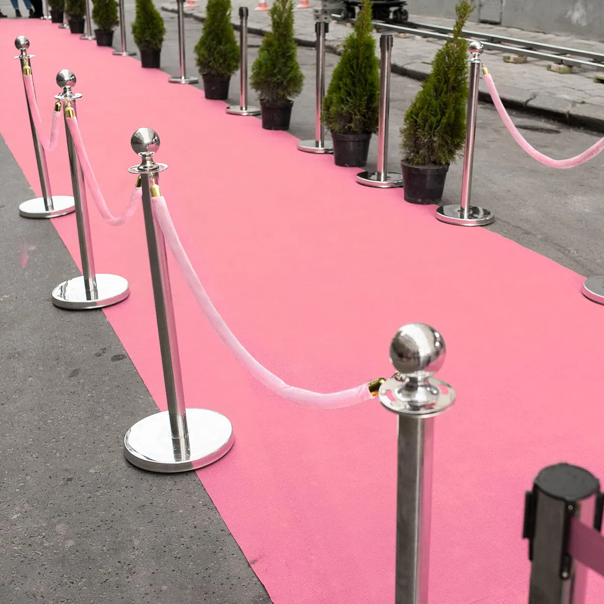 Okllen Confezione da 4 corde in velluto rosa, 1,5 m, per controllo della folla, con chiusure in oro lucido, corda VIP da appendere per tappeti rossi e rosa, decorazioni per eventi a tema ed eventi per