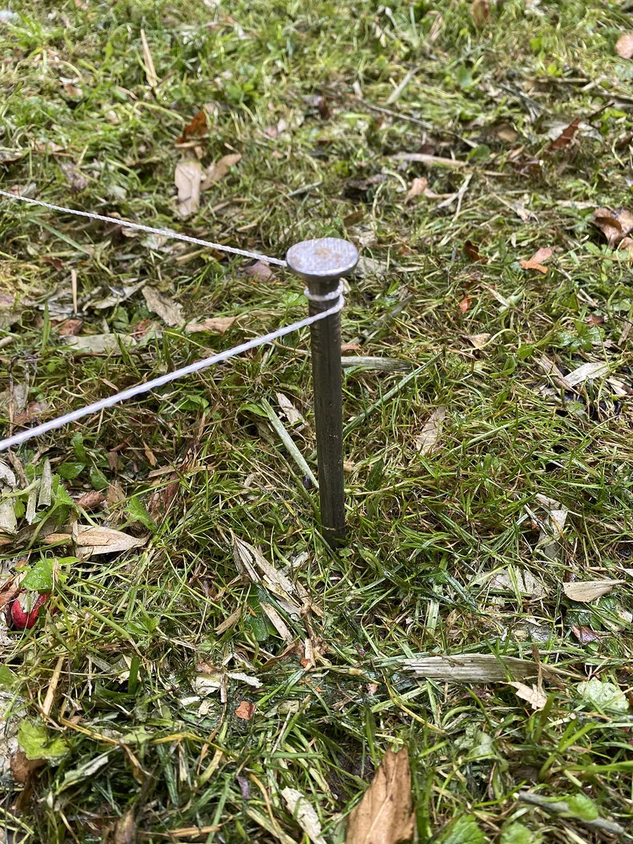 8 pezzi chiodo da giardino | 350 mm di lunghezza – 8 mm | Ancoraggio a terra da giardino per orticoltura | Forma diritta – testa da 17 mm