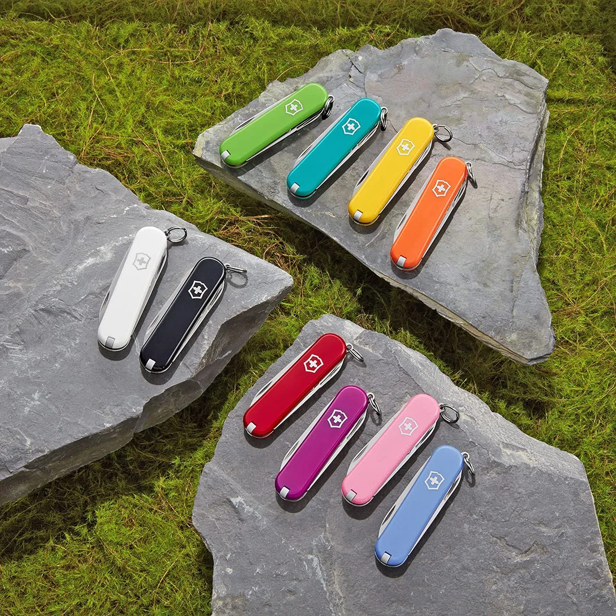 Victorinox Small tweezer.