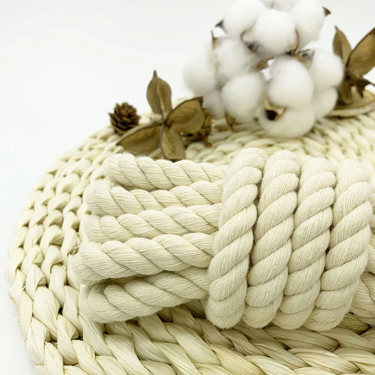 Corda spessa 12mm macramè corda bianca 10M morbida corda di cotone per giardino corda macramè kit appendiabiti per piante beige