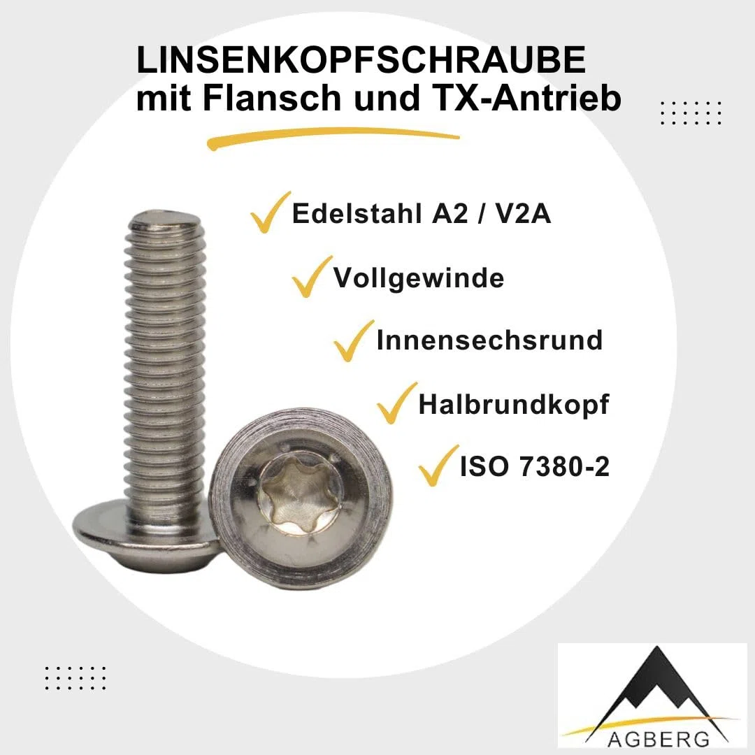 AGBERG - Viti a testa bombata M10 x 65 con flangia e Torx (TX) - Viti a testa bombata [20 pezzi] in acciaio inossidabile A2 V2A, inossidabile - ISO 7380-2