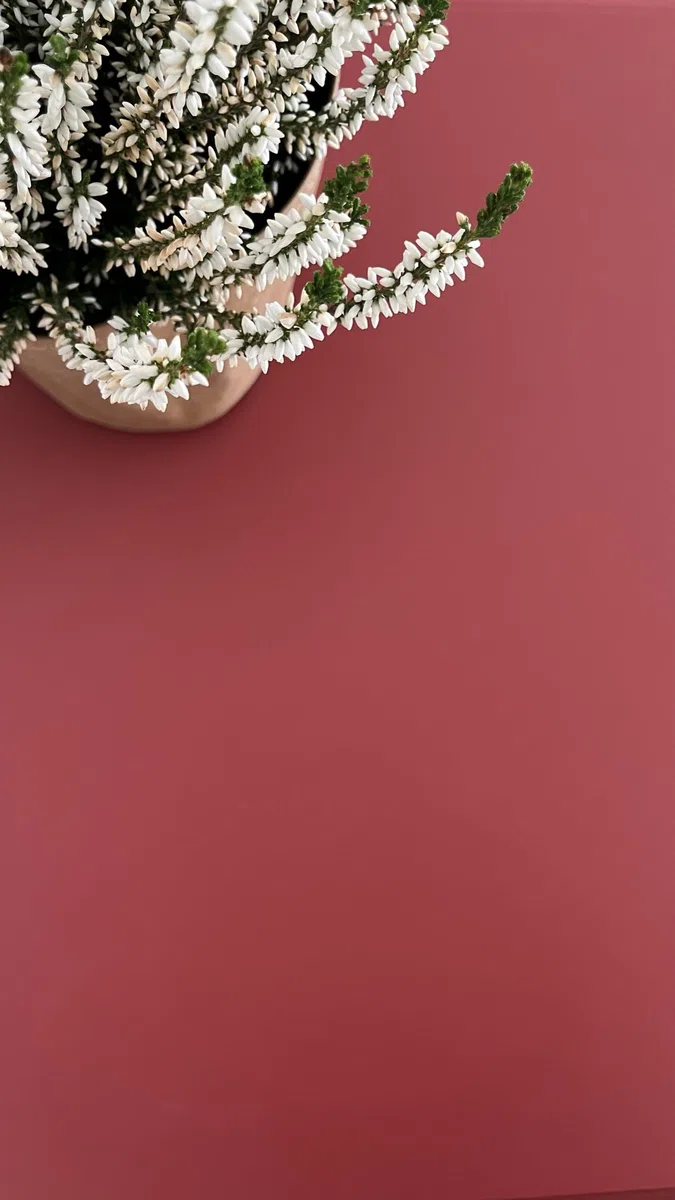 Novecento Paint Mobili ml 500 Rosso PRIMITIVO