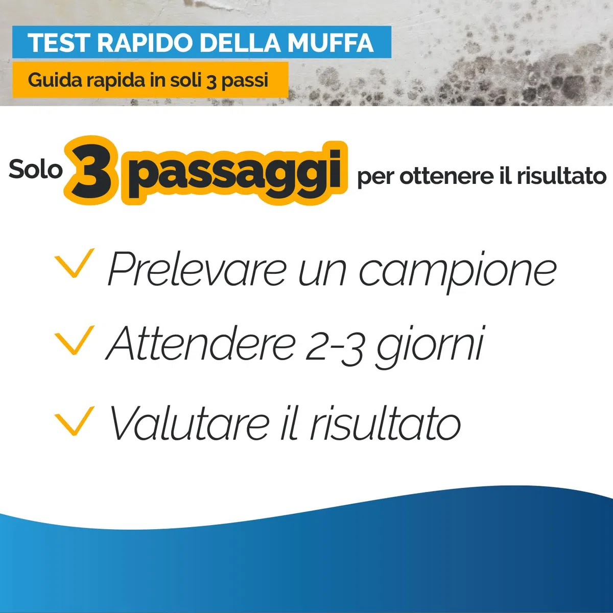Test muffa + termoigrometro – controllo della qualità dell’aria in fino a 6 ambienti, con igrometro analogico per umidità e temperatura