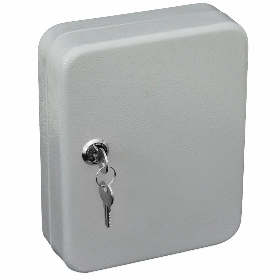 Arregui PLL20 Cassetta Portachiavi con Ganci Fissi | 20 Chiavi | Cassetta di Sicurezza per Chiavi da Muro | Appendichiavi da Parete | Portachiavi Inclusi | Armadietto per Chiavi | 20x16x6cm | grigio