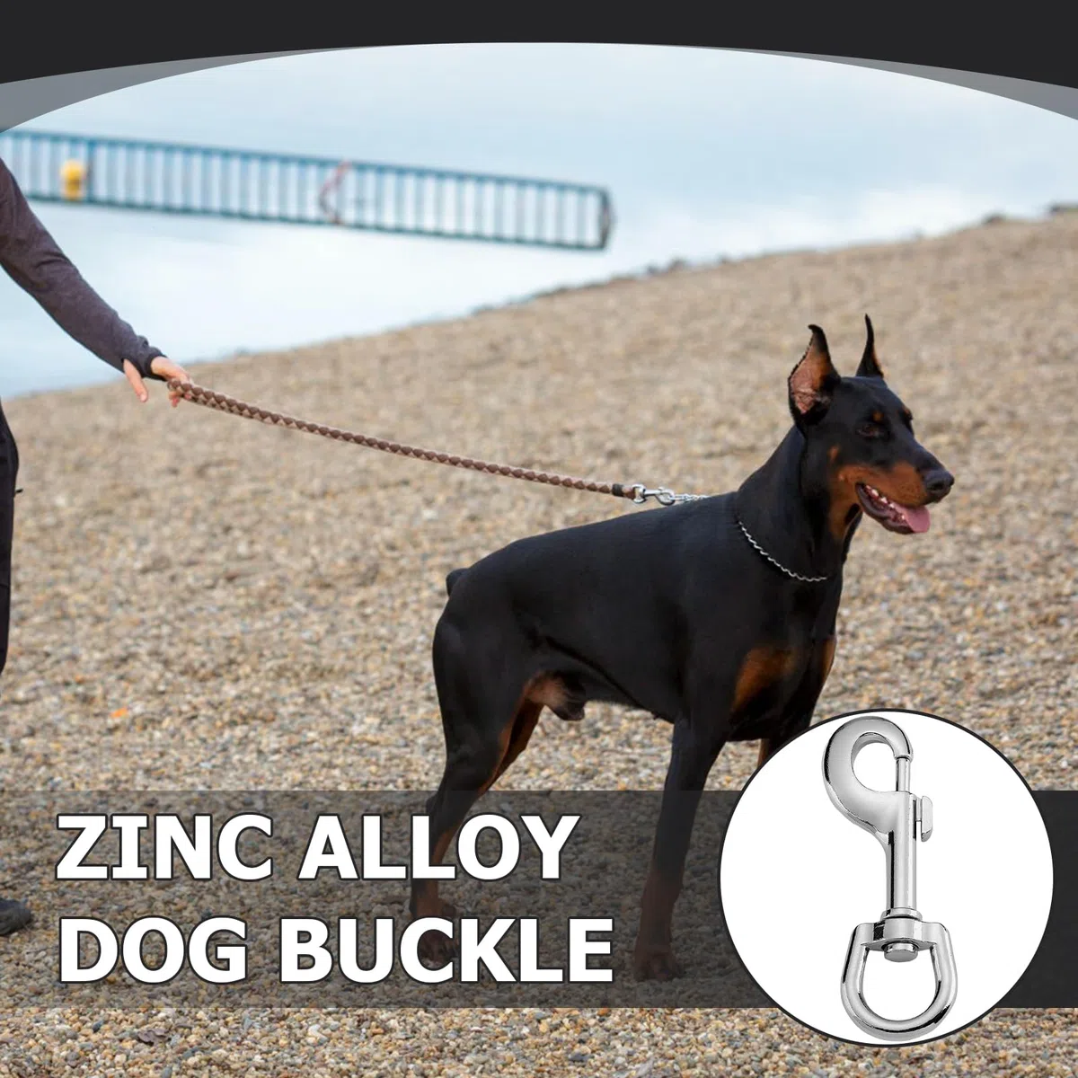 2 pz Ganci Portachiavi,Moschettoni in Acciaio Inox,Utilizzati per Alpinismo,Guinzagli e Chiavi per Cani