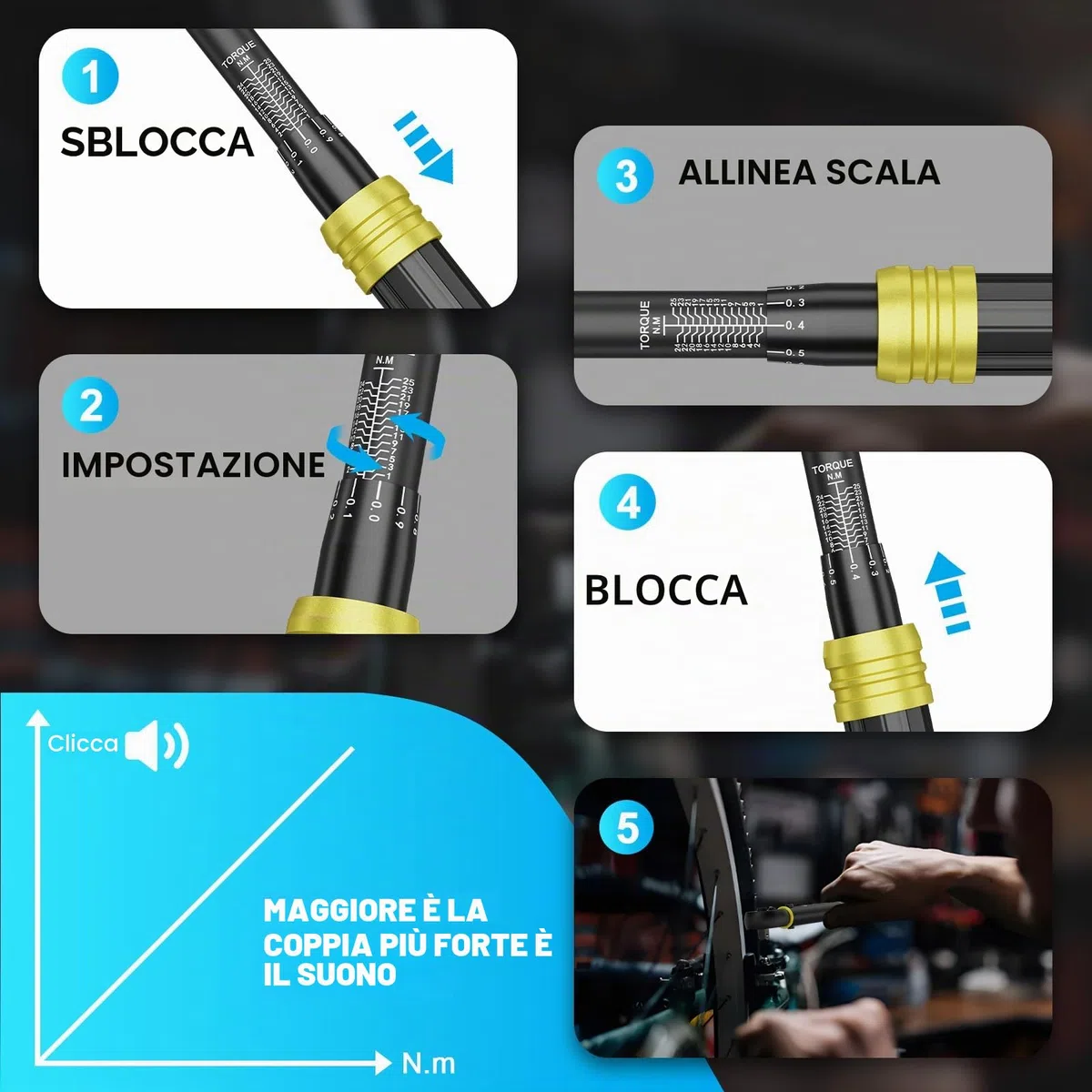 ANPUDS Chiave Dinamometrica 1/4”, 1-25Nm Bici e Moto Chiave Dinamometrica Set, 0.1nm Micro Adjustments, Precisione ± 3%, 72 Denti Chiavi Dinamometriche per Bici da Strada e Mountain, Moto