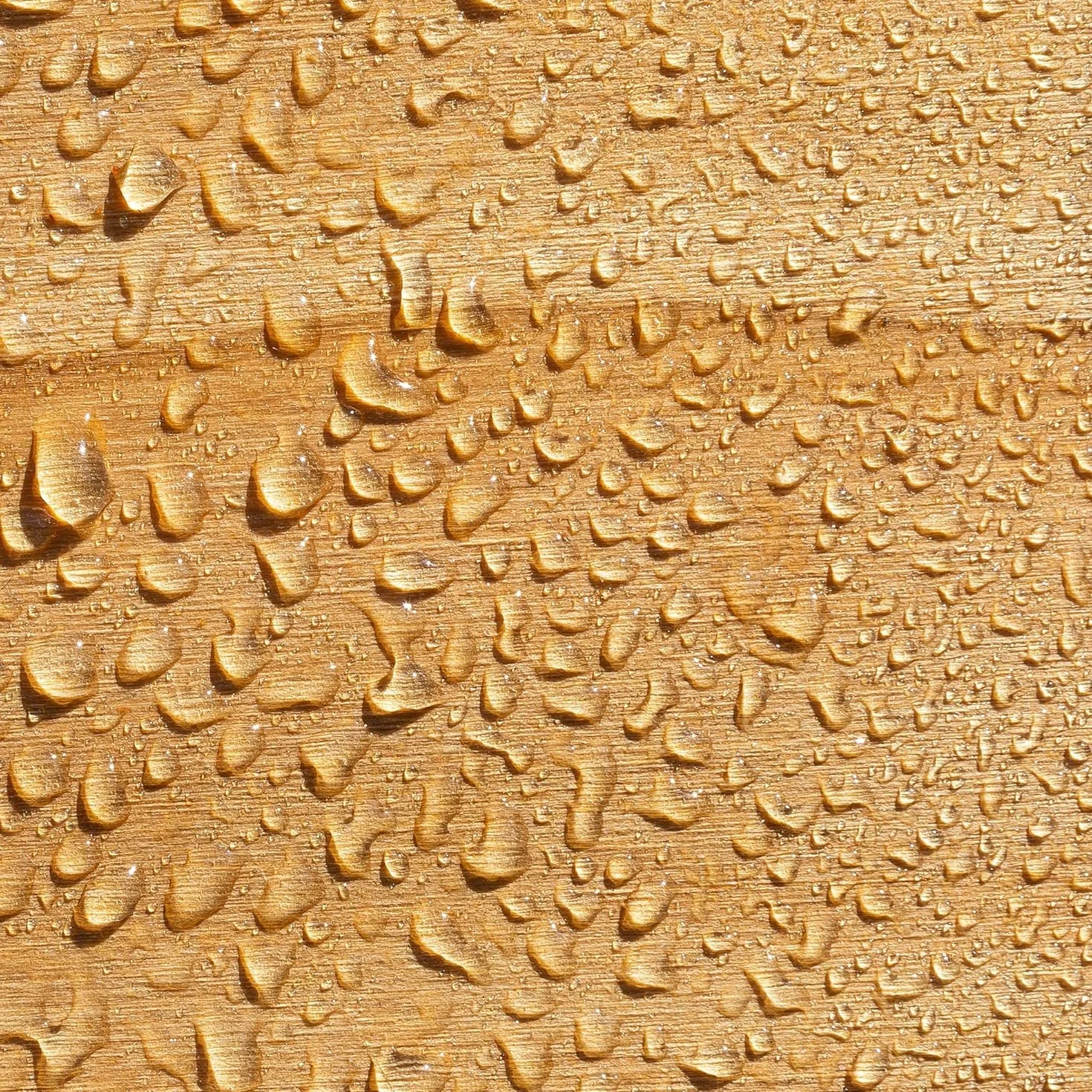 Roxil Impregnante legno idrorepellente (1 litro) -10 anni sigillante per legno, trattamento trasparente impermeabilizzante e conservante per legno esterno