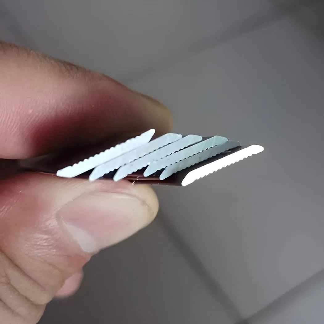 Profilo Di Transizione Pavimento, Autoadesivo, Profilo Coprisoglia Piatto Per Pavimento, Strisce Di Rivestimento Per Pavimenti, Alluminio Anodizzato(Silver,6cm)