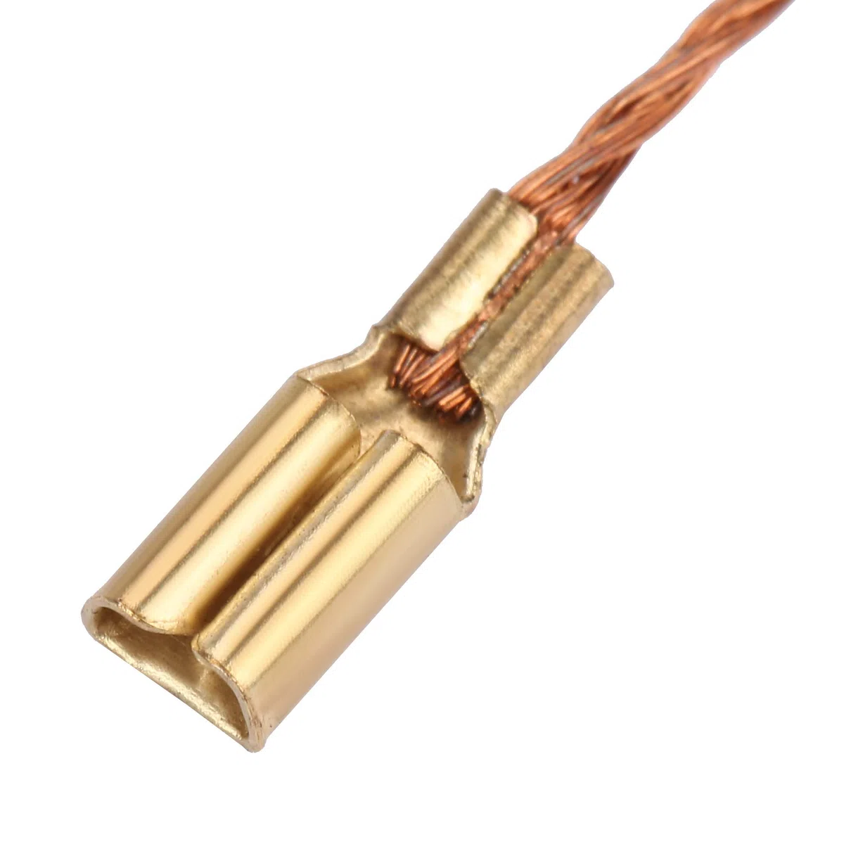 20Pezzi Spazzole in Carbone, Spazzola in Carbone Conduttiva Sostituibile per Trapano a Motore Elettrico, Utensile Elettrico, Martello Rotarys, Trapano, Sega Circolare - 5x 8x16mm